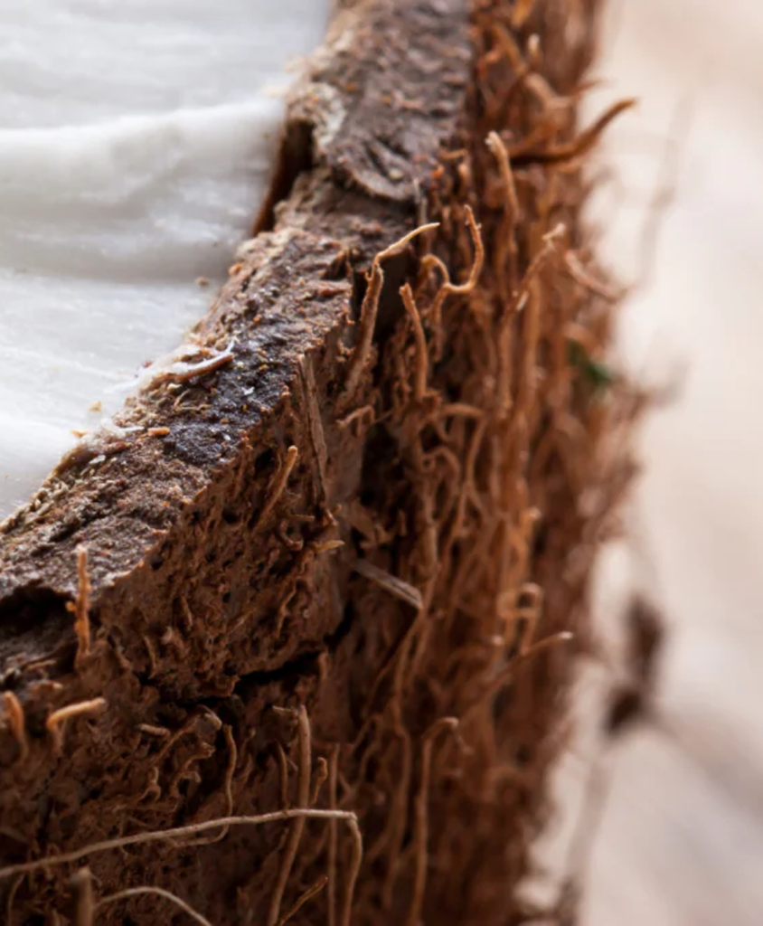 Laird Superfood products including plant-based creamers and adaptogenic blends 
